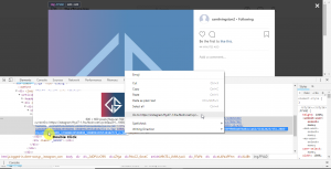 How-To-Download-Instagram-Private-Pictures-GeekySplash-9